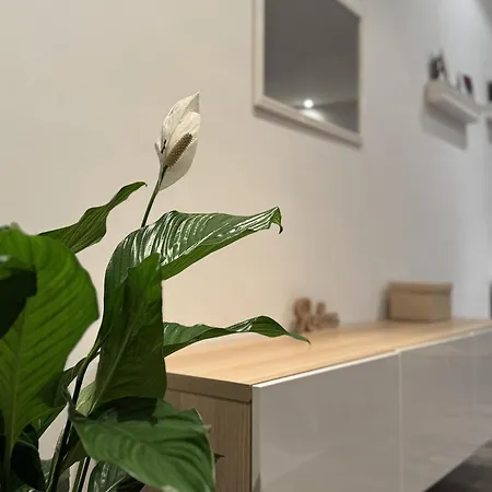 Themenzimmer Pusteblume Naehe Hauptbahnhof * דיסבורג