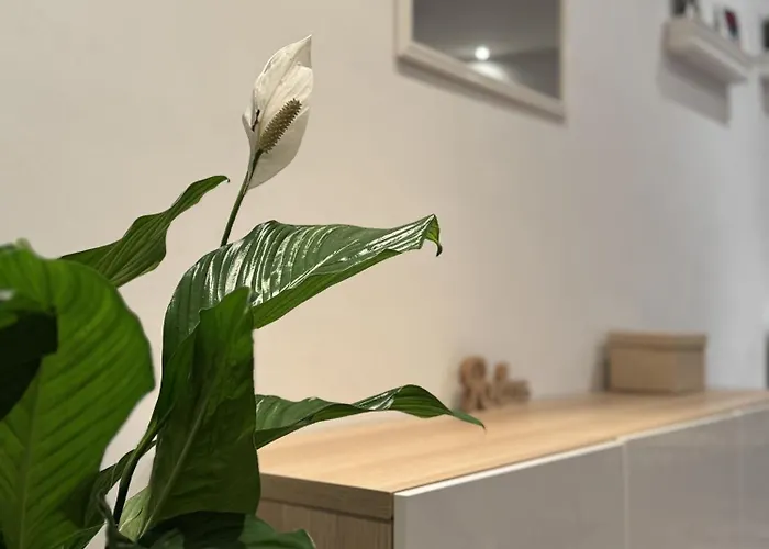 Themenzimmer Pusteblume Naehe Hauptbahnhof * דיסבורג